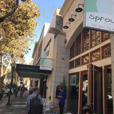 Sprout Cafe