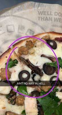 Pieology Pizzeria, Fayetteville, Ar