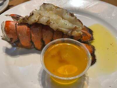 Outback Steak & Oyster Bar