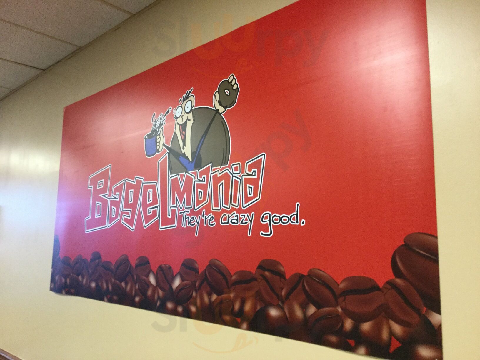 Bagelmania
