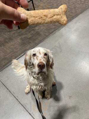 Border Brew Coffee House