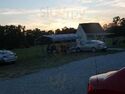 Somerset Farm