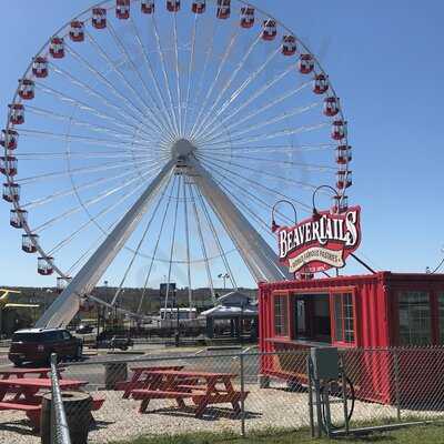 Beavertails Branson Tracks
