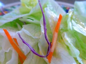 Thai Satay Restaurant