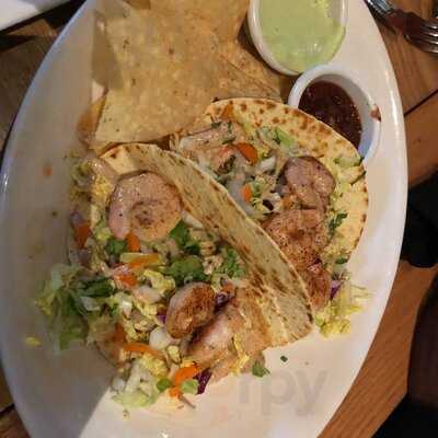 Bj's Restaurant & Brewhouse