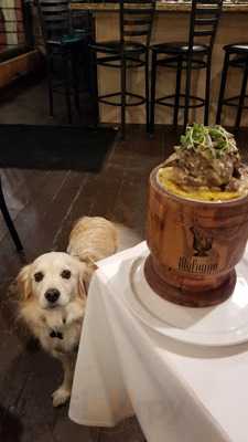 Casa Mofongo Latin Grill Miami