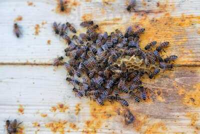 Stave Regional Kitchen & Lounge