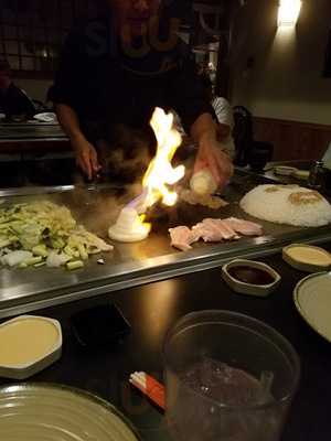 Shogun Japanese Restaurant