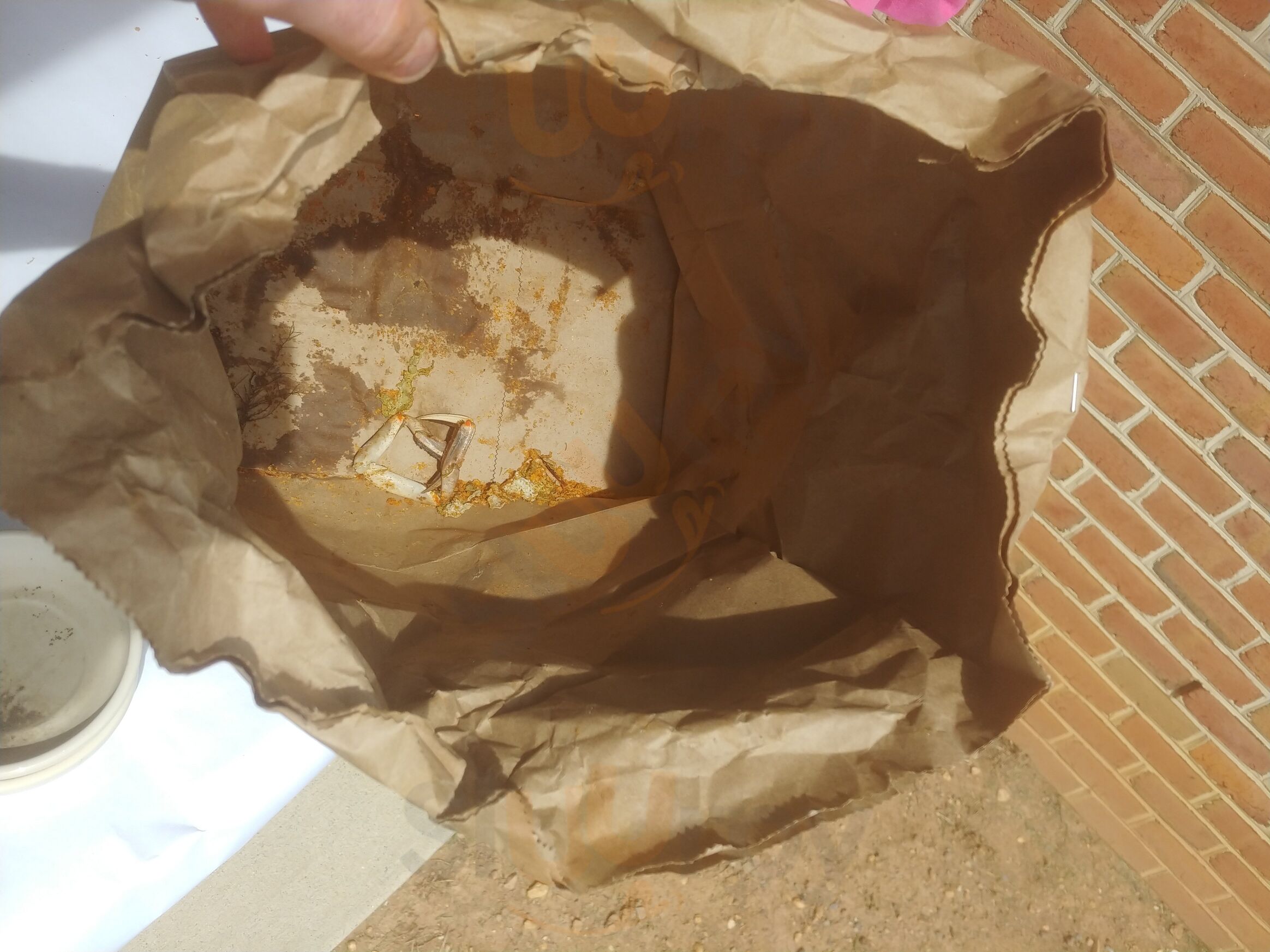 West Point Crab House