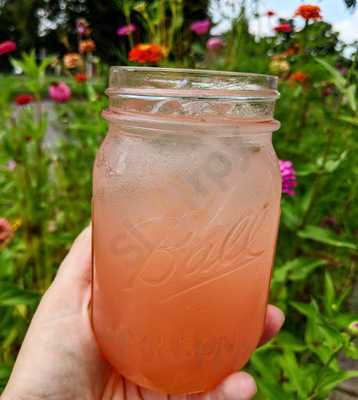 Needmore Coffee Roaster