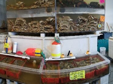 Fresh Catch Seafood