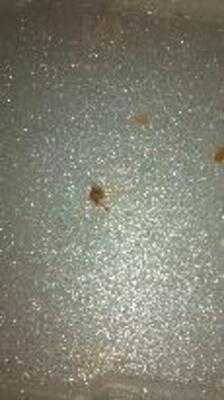 Roberto's Mexican Food