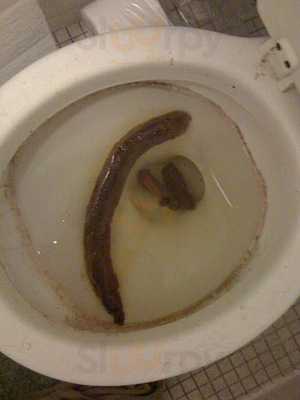 Stewart's Restaurant