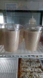 Blue Sky Food By The Pound