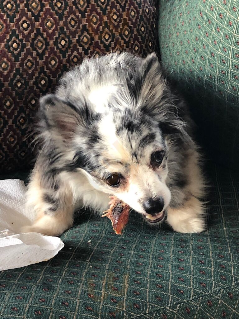 Star View Restaurant