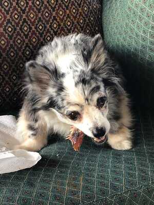 Star View Restaurant