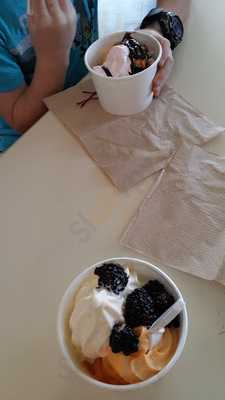 Yogurt Shack