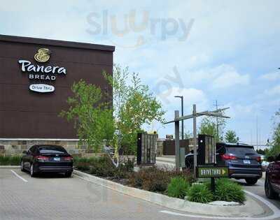 Panera Bread