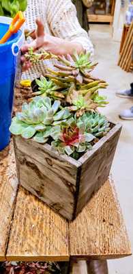 All Tied Up Floral Cafe