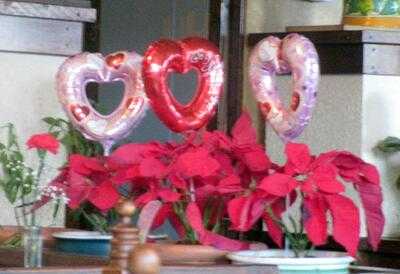 Baja Catcus Restaurant