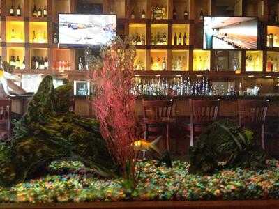 Shogun Japanese Grill And Sushi