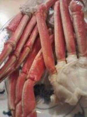 Foto 44740058