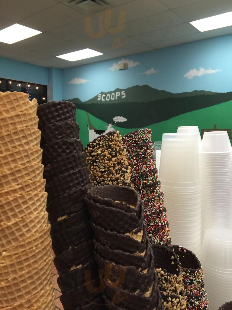 Scoops Homemade Ice Cream