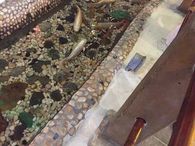 Amber Buffet & Hibachi