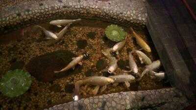 Amber Buffet & Hibachi