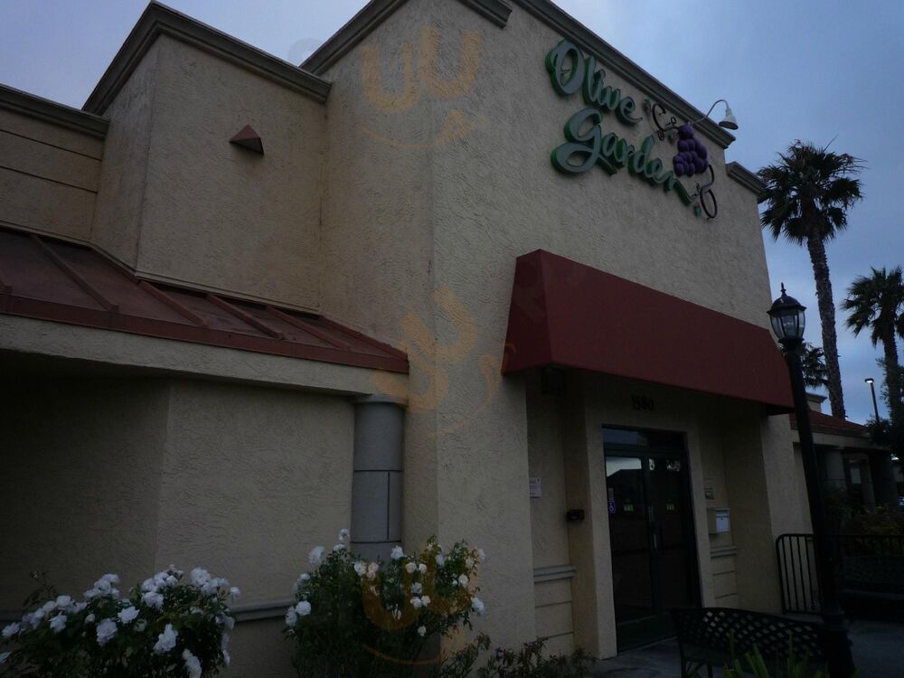 Olive Garden Italian Restaurant