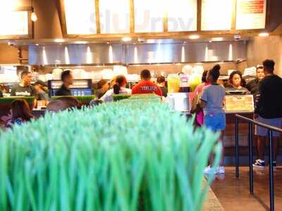 Viva Chicken #6 - Concord Mills