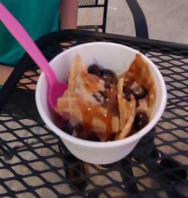 Sweet Frog Frozen Yogurt