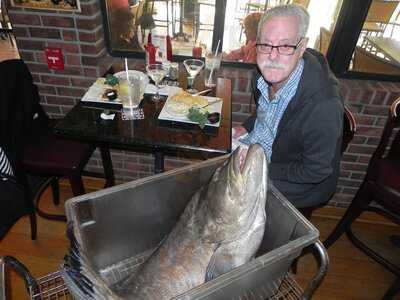 Fresh Catch Seafood Grill