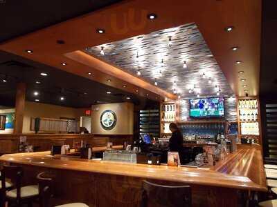 Outback Steakhouse