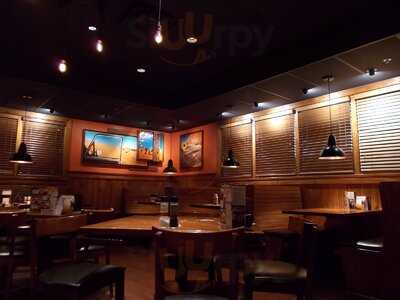 Outback Steakhouse
