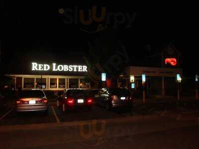 Red Lobster
