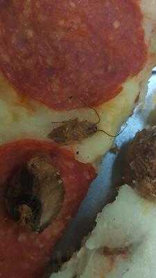 Foto 45142366