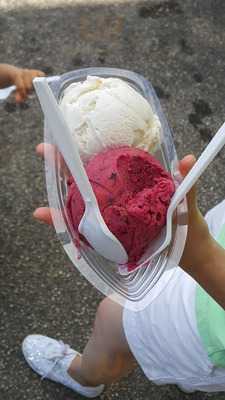 Flapdoodles Ice Cream