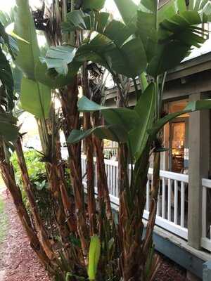 Pirate's Loft Restaurant