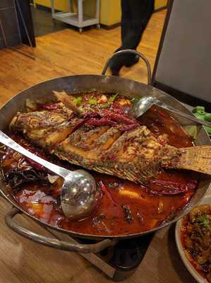 Lao Sze Chuan Aurora