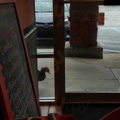 Central Park Food Station