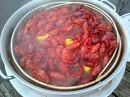 Ward's The Crawfish Hole