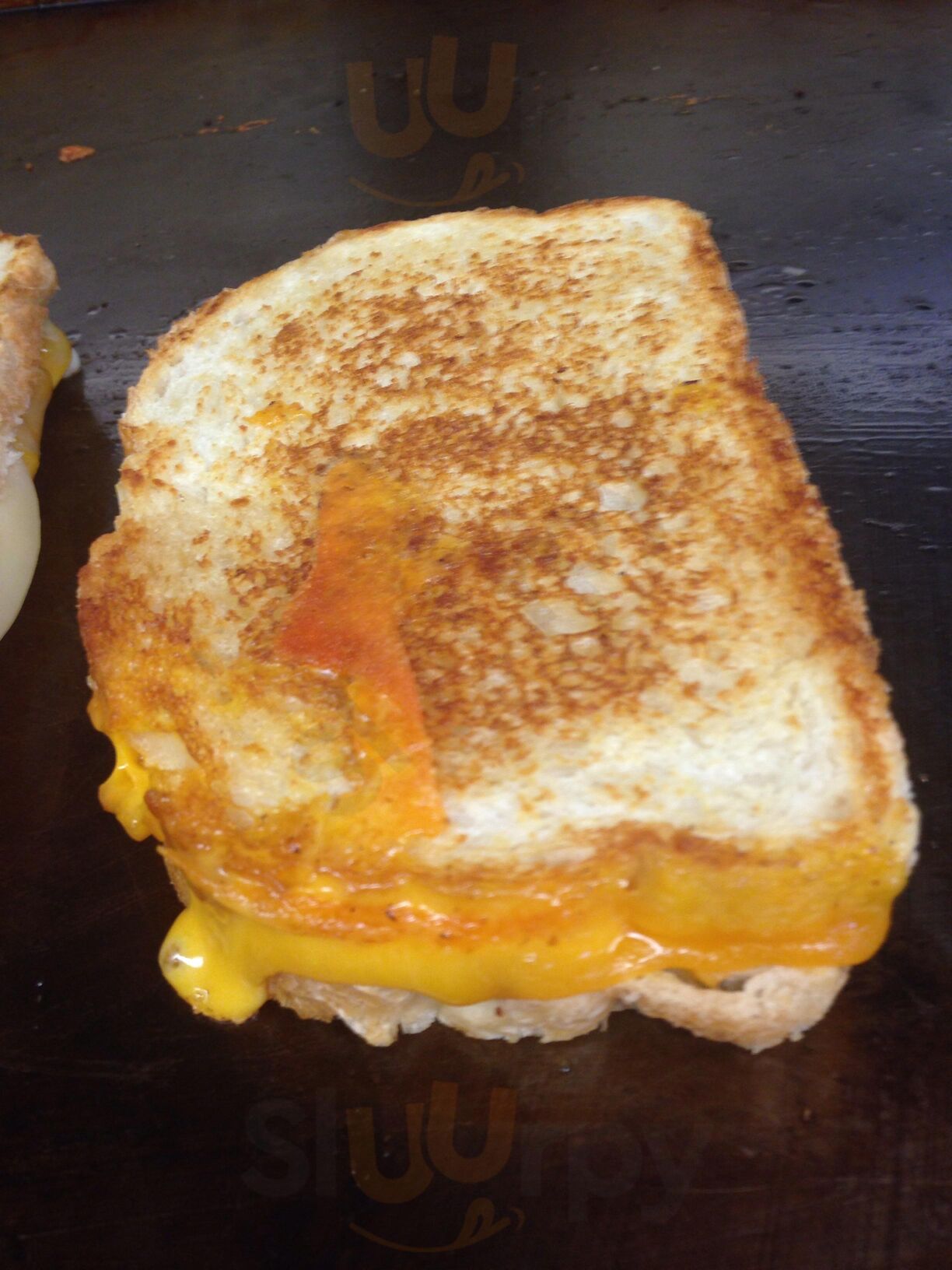 The Toasted Traveler