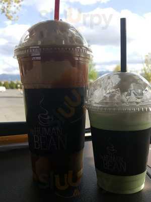 Human Bean Of Phoenix