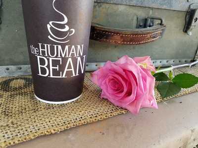 Human Bean Of Phoenix