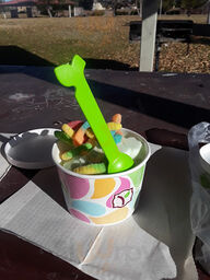 Yogurtland