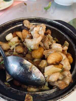 Foto 59120538