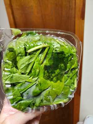 Pizza Connection Plus