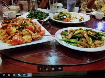 Sakura Japanese Steak House And Sushi