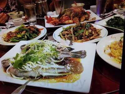 Sakura Japanese Steak House And Sushi